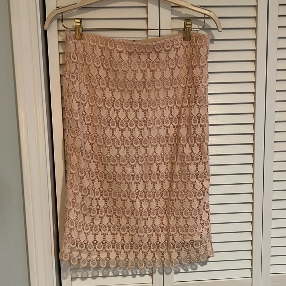 Ann Taylor Eyelet Midi Skirt